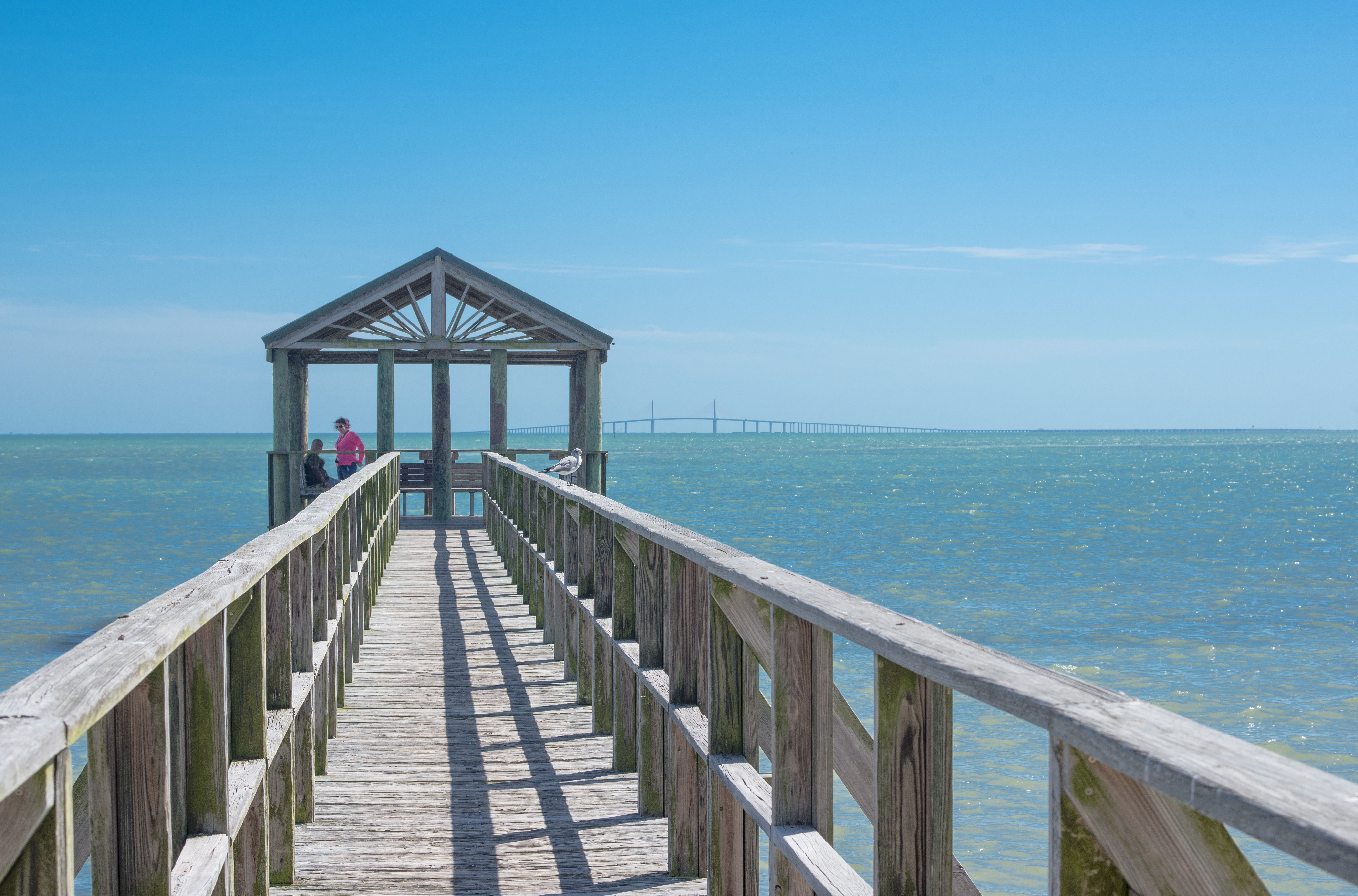 Skyway Marina District, St. Petersburg Real Estate Homes & Condos For Sale Homes for Sale